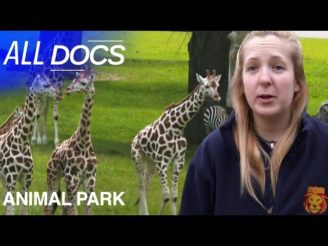 Season Premiere: Special Easter Episode | Animal Park | All Documentary