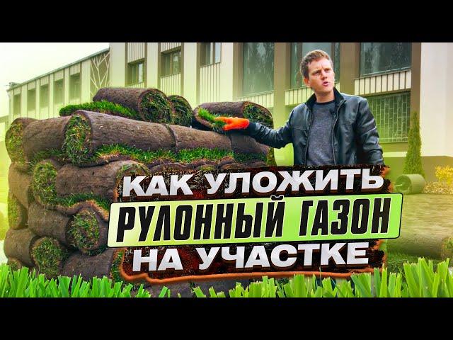 РУЛОННЫЙ ГАЗОН | Советы, СЕКРЕТЫ и ТЕХНОЛОГИЯ укладки и выращивания газона | Ландшафтный дизайн.