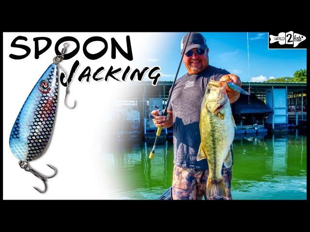 Improved Tips for Fishing Flutter Spoons with James Watson