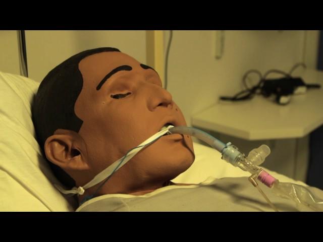 BSc Physiotherapy: Clinical Skills. Part 2