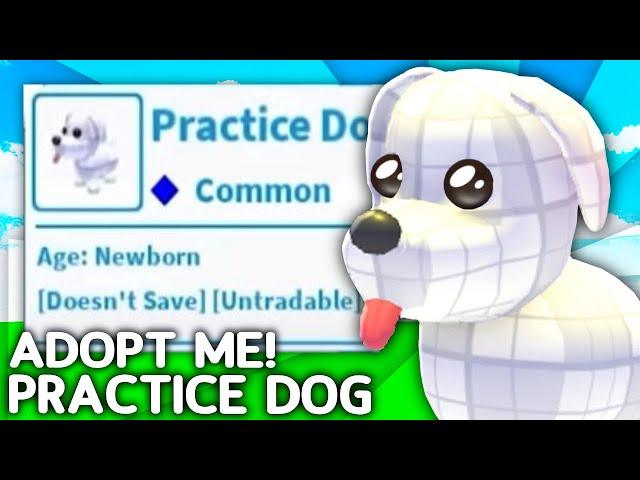 How To Get The SECRET Practice Dog Pet In Adopt Me! Roblox