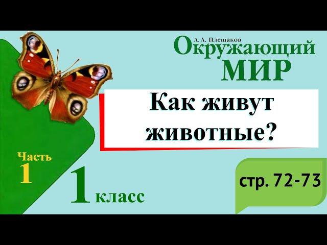 Как живут животные? Окружающий мир. 1 класс, 1 часть. Учебник А. Плешаков стр. 72-73