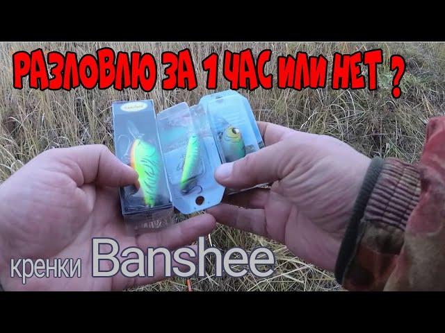 Crankbaits BANSHEE.  Will I be able to catch a pike within 1 hour or not ?  )). November 2020.