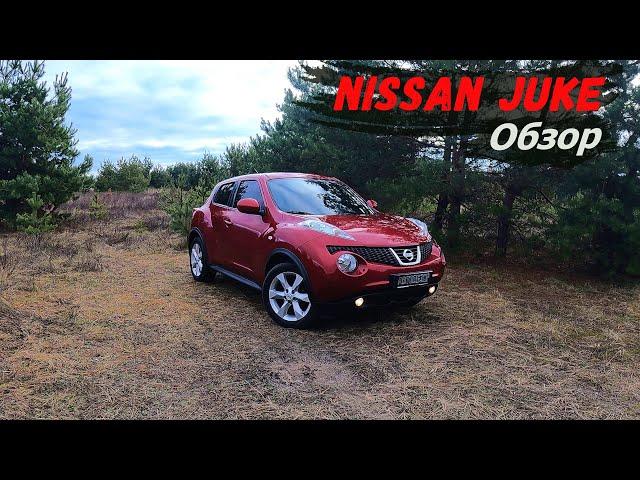 НИССАН ЖУК ОБЗОР. NISSAN JUKE слабые и сильные стороны.