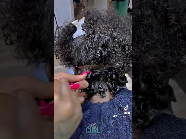 Wash and go defined curls (juicy)