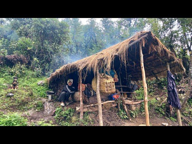 Organic Mountain Village Life | Shepherd Life | Rainy Season | Organic Shepherd Food | Real Life |