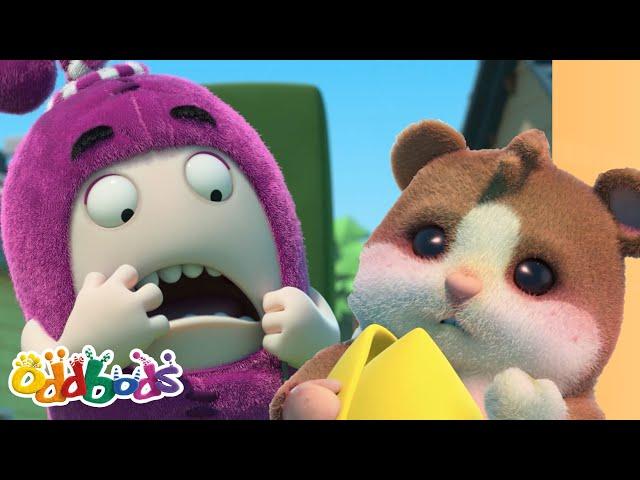 Newt's Hamster Hazard! | Oddbods Cartoons | Funny Cartoons For Kids