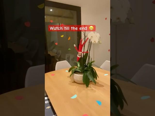 When you let your Child decorate house at Christmas. #christmasdecoration #funnyvideo #funnyshorts