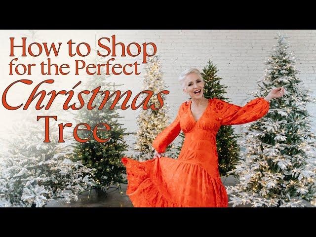 Christmas Tree Shop | My Top 5 Favorite Trees | How to Shop for the Perfect Christmas Tree