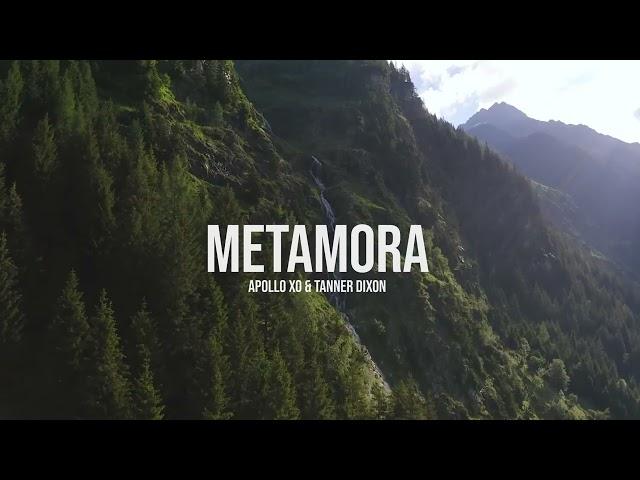 Metamora (Visualizer)