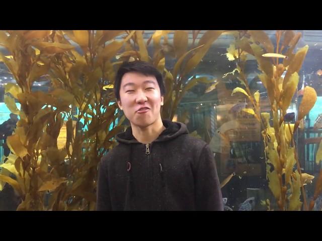 Monterey Bay Aquarium and Poke Poling