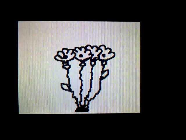 DSi Flipnote-growing flowers