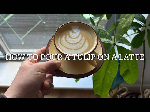 How to pour perfect tulip latte art 