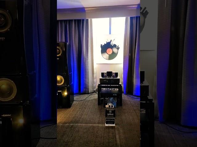 VOXATIV AUDIO of Germany. #audio #hifi #ocdhifiguy