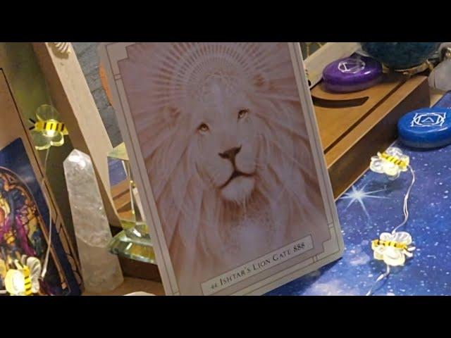 888 Lion's Gate reading Timeless and Collective️