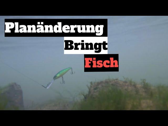 Angeln im Herbst [ Planänderung bringt Fisch ?! ]