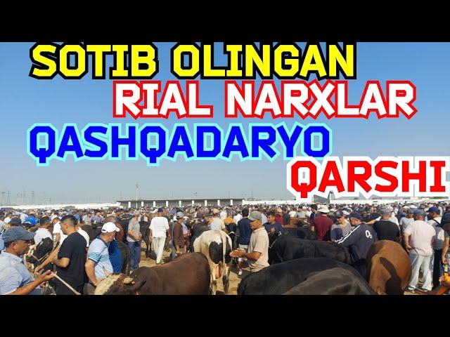 SOTIB OLINGAN REAL NARXLAR QARSHI KARVON MOL BOZORIDAN