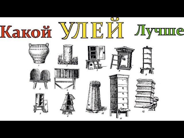 Какой улей ЛУЧШЕ Тип улья