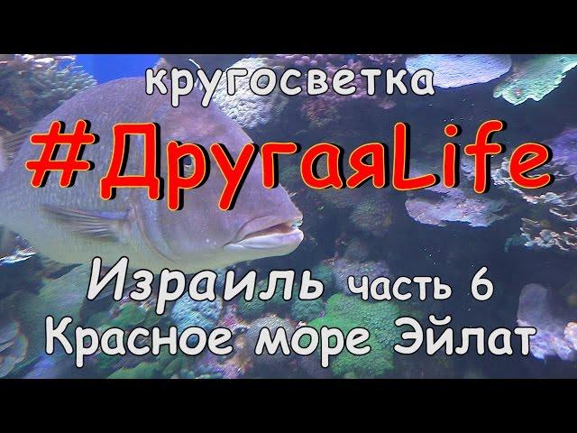 Израиль. Красное море. Эйлат l #ДругаяLife