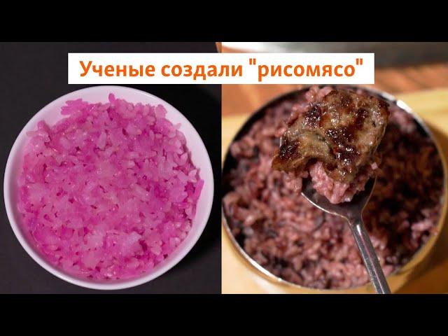 Ученые создали "рисомясо" | Сибирь.Реалии