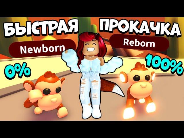 СЕКРЕТЫ и ЛАЙФХАКИ Как БЫСТРО ПРОКАЧАТЬ ПИТОМЦА в Адопт Ми! Adopt Me Roblox