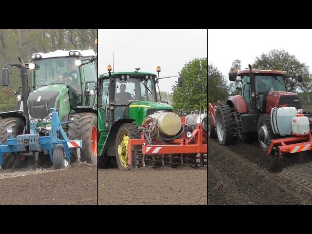 Planting potatoes