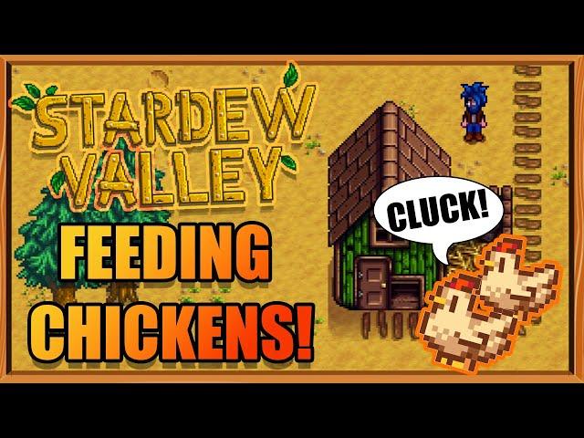 How To Feed Chickens in Stardew Valley | Stardew Valley Farming Guide