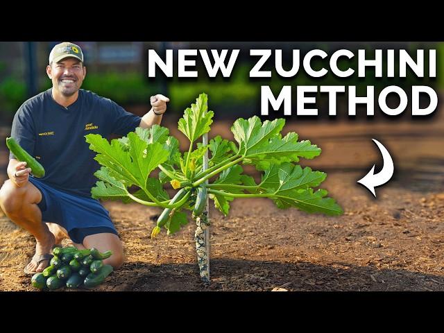 Grow Zucchini Vertically to Save Space And Boost Harvests