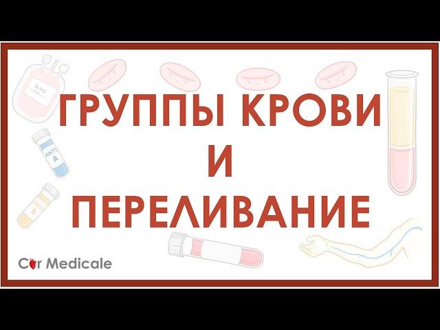 Группы крови и переливание: системы АВ0, резус, гемолитическая реакция - кратко