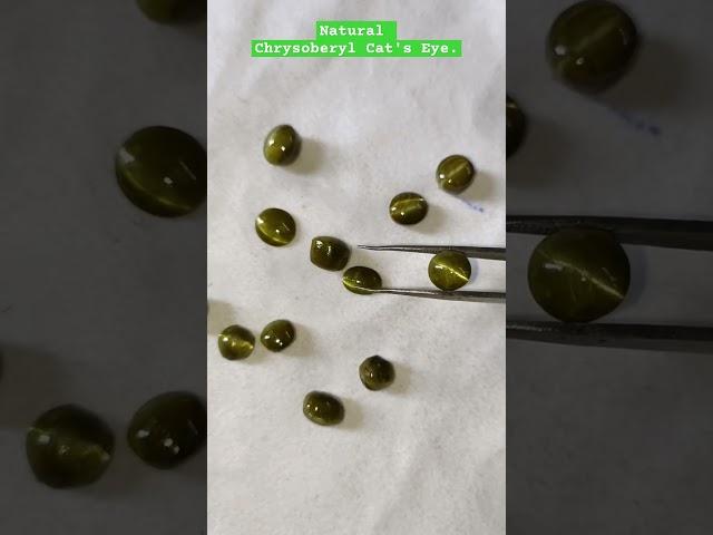 Natural Chrysoberyl Cat's Eye..  Wholesale price.. Contact no.. 8240182392