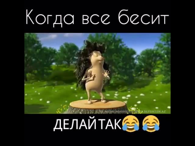 ЁЖ ТАНЦУЕТ!!! | РЖАЛА ЦЕЛЫЕ ПОЛ ЧАСА!!!