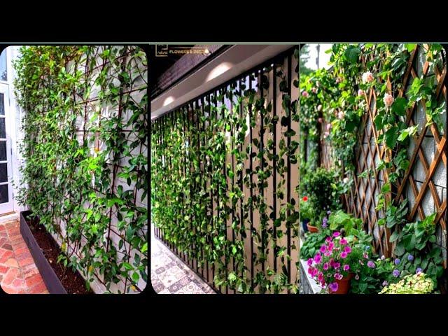 20 Must-Try Garden Trellis Ideas to Elevate Your Outdoor Space!