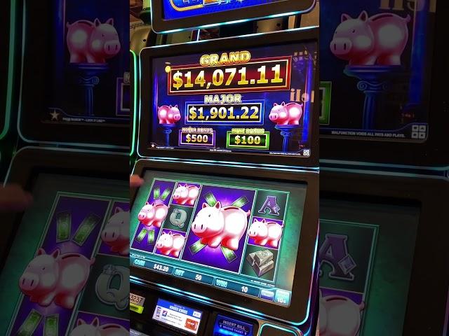 MINI PIGGIES!!! #slots #casino #slotmachine #slotwin #jackpot #bonusfeature #casinogame #gambling