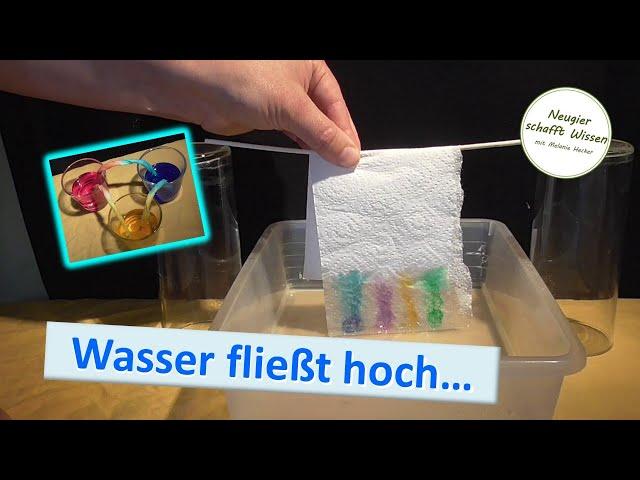 Wasser fließt hoch! Experimente zu Adhäsion und kommunizierende Röhren für Kinder