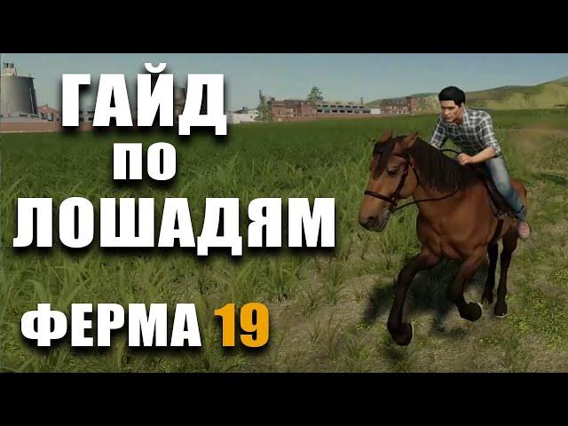 GUIDE for Horses Farming Simulator 19 | How to Keep Horses in a Farm 19