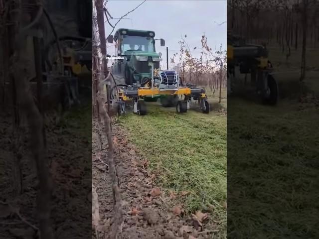 inter-Row Cultivator VITIS 2 PRO For Vineyards || Made By Dondi Spa Italy || #vineyard #cultivator