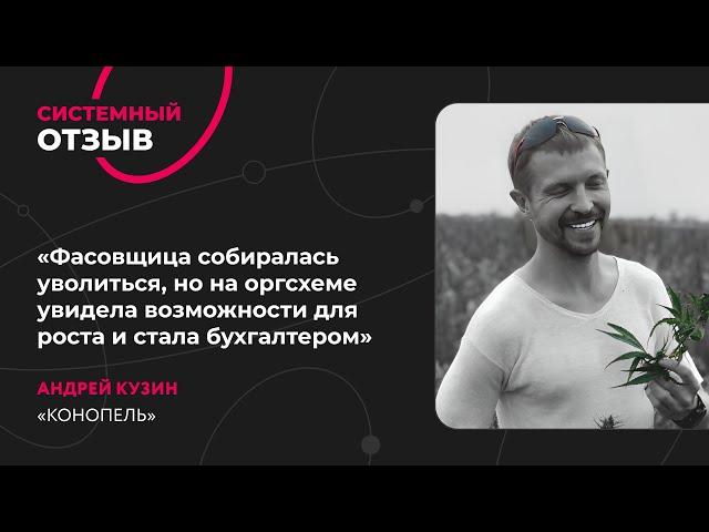 Андрей Кузин. Отзыв о Системе