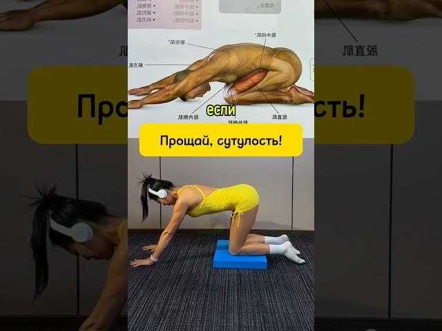 Простые Упражнения От Любых Проблем Со Спиной #здоровье #долголетие #сон #спина #позвоночник