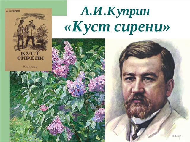 Куст сирени, Куприн А.И.