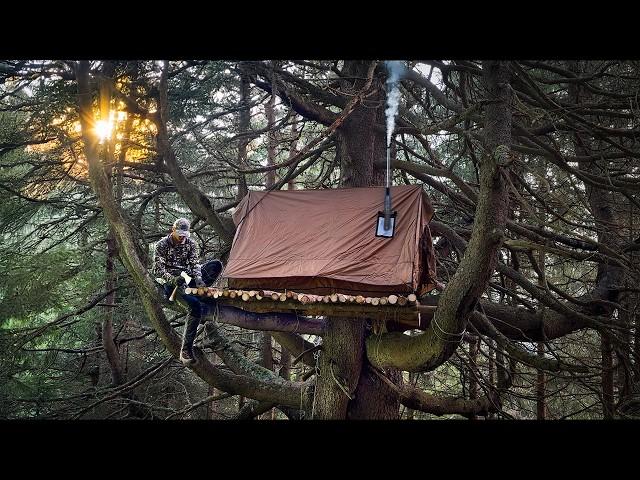 Building a Cozy Bushcraft TREEHOUSE on a Ancient Tree | Pt. 1