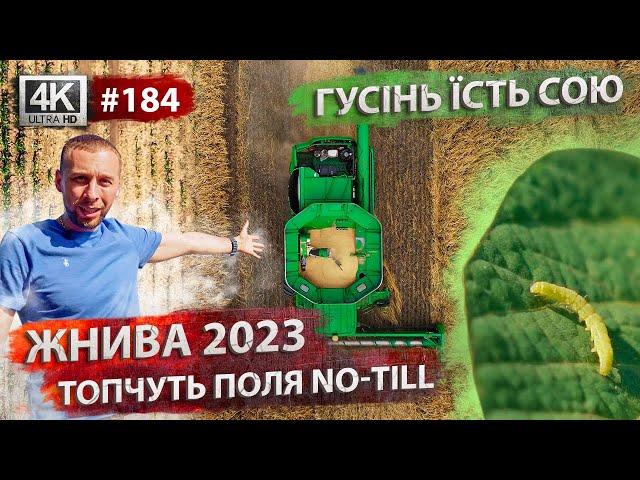 Жнива 2023 Комбайни в полях  Гусінь нищить сою.