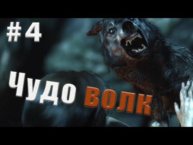 Прохождение Tomb Raider #4 - [Чудо волк]