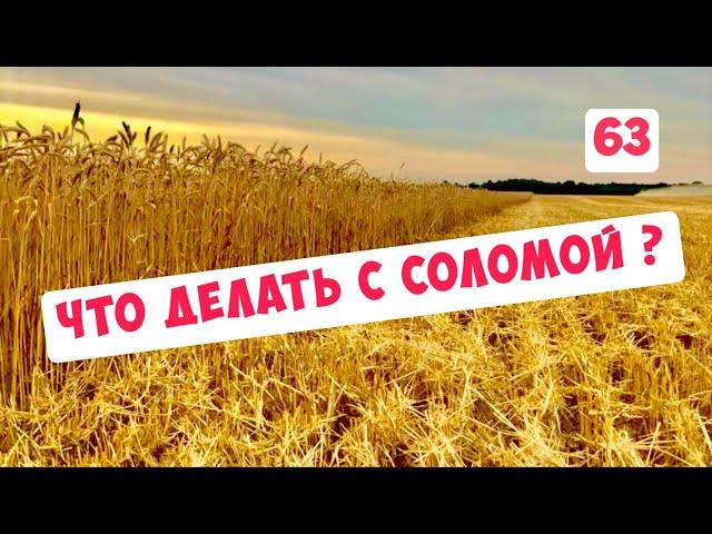 ЧТО ДЕЛАТЬ С СОЛОМОЙ ПОСЛЕ УБОРКИ ?