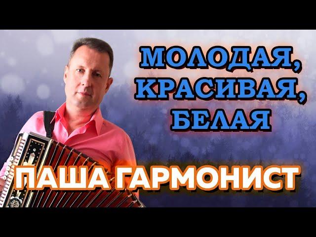 Паша гармонист - Молодая, красивая, белая ( на новой гармошке )