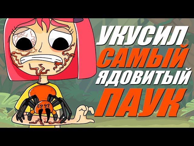 Меня укусил самый ядовитый паук (Анимация)