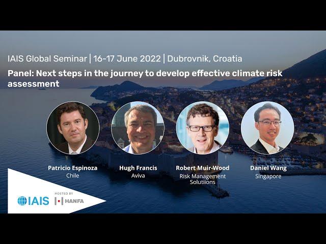 Panel: Climate scenario analysis