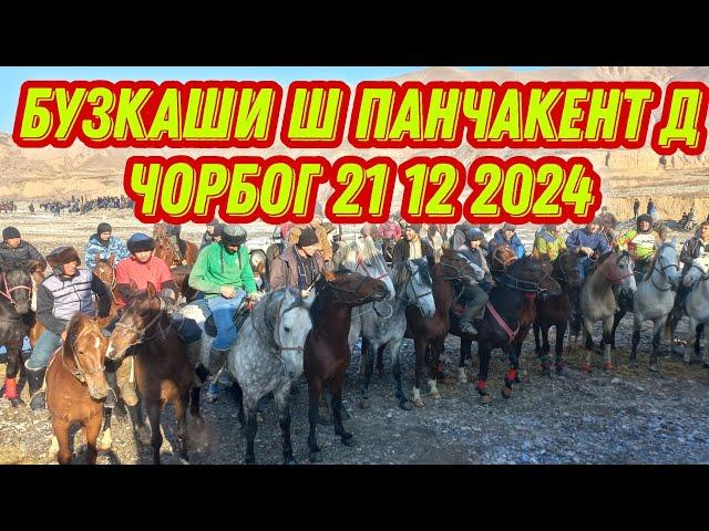 БУЗКАШИ Д ЧОРБОГ. Ш .Панчакент.21.12.2024номери Ман+992929323888