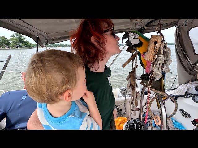 Sailing with 3 PETS and a BABY: Are we CRAZY?| Sailing Wisdom [S6 Ep14]