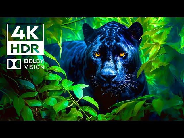 Wildlife World 4K HDR 60FPS Dolby Vision | Cinematic Music (dynamic color)