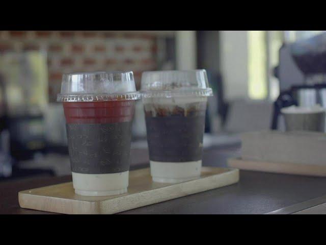 Here's how single-use plastics are harming the environment